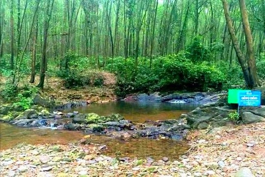 Hai học sinh đuối nước thương tâm