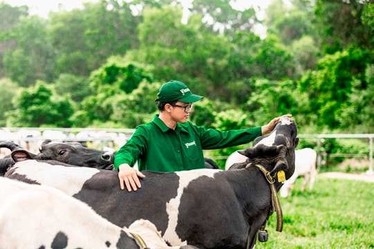 400 phép thử, 200 kiểm định: Vinamilk đặt lại chuẩn sữa tươi Việt