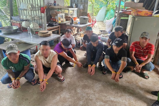 Triệt xóa tụ điểm cá độ đá gà núp bóng trại nuôi gà