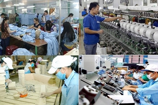 Kế hoạch triển khai cơ chế, chính sách đặc thù phát triển kinh tế tư nhân
