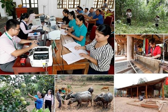 Phát huy tín dụng chính sách hỗ trợ Nghệ An tận dụng thời cơ lịch sử