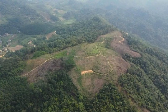 Hàng nghìn mét vuông rừng phòng hộ bị xâm lấn, khai thác trái phép ở Thái Nguyên
