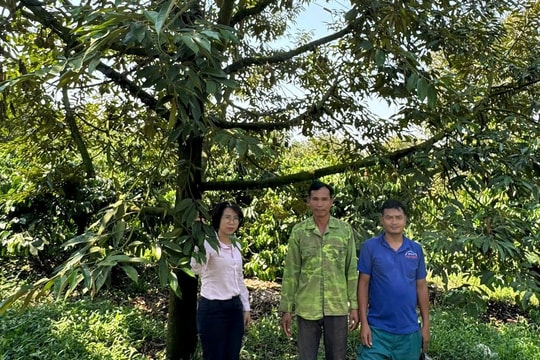 Đưa vốn tín dụng chính sách đến đúng người, đúng mục đích