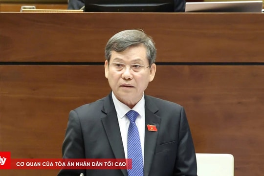 Chánh án TANDTC Lê Minh Trí: Sẽ có quy định về Tòa án nhân dân chuyên biệt