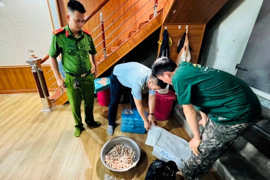 Phát hiện gần 500kg thực phẩm đông lạnh không rõ nguồn gốc