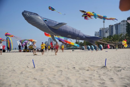 Chuẩn hóa không gian biển- sông, tạo sân chơi dưới nước