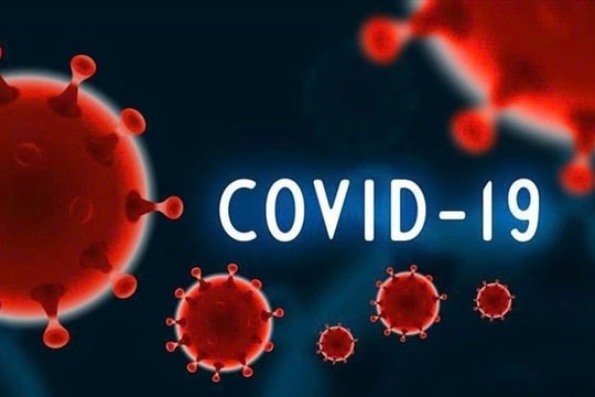 Bạc Liêu khẩn trương, chủ động ứng phó dịch Covid-19