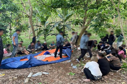 17 đối tượng sa lưới tại sới bạc chuyên nghiệp tổ chức trong rừng sâu