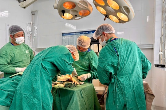 Nối thành công bàn tay đứt rời do tai nạn lao động