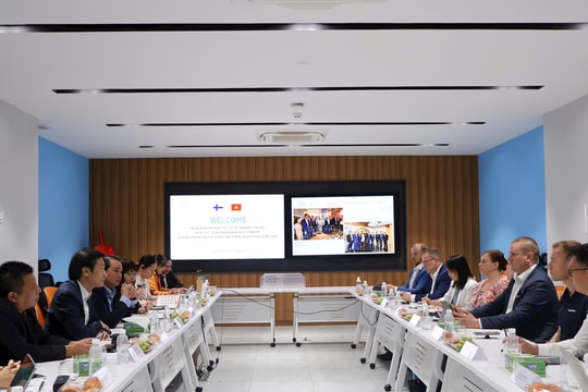 Phần Lan mong trở thành đối tác của TP.HCM về AI