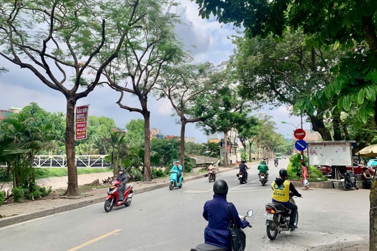 Còn xe đi ngược chiều bất chấp biển cấm trên đường Nguyễn Ngọc Vũ