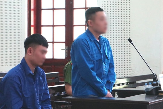 Cò đất dùng “sổ đỏ” giả để lừa đảo thế chấp