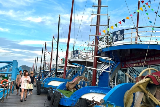 Tàu du lịch bị phạt vì để khách mang chai nhựa lên vịnh Hạ Long