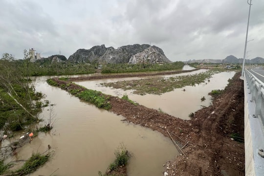 Hải Phòng: Vụ hàng nghìn m2 rừng ở Thủy Nguyên biến mất, cơ quan chức năng đề nghị công an xác minh
