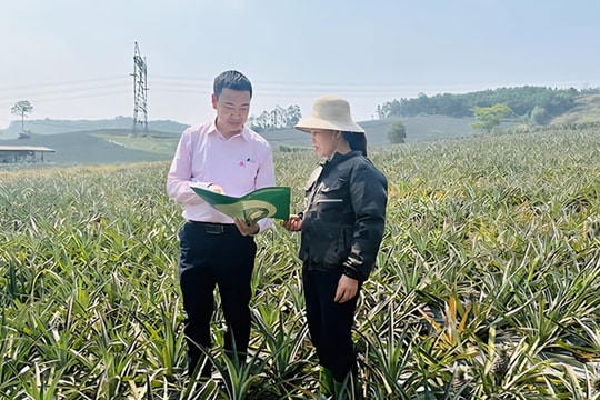 Nguồn vốn chính sách giúp vùng khó khăn vươn lên ổn định cuộc sống