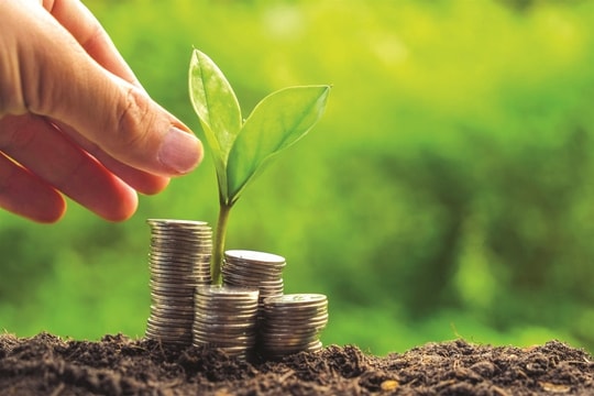 Tín dụng xanh tăng trưởng gấp đôi tín dụng truyền thống