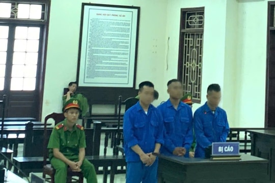 Tụ tập sử dụng ma túy tại nhà, ba bị cáo lĩnh tổng cộng 38 năm tù