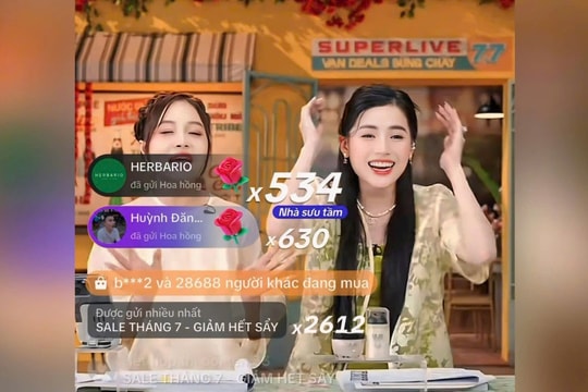 Chi nhánh công ty của TikToker Võ Hà Linh bị kiểm tra