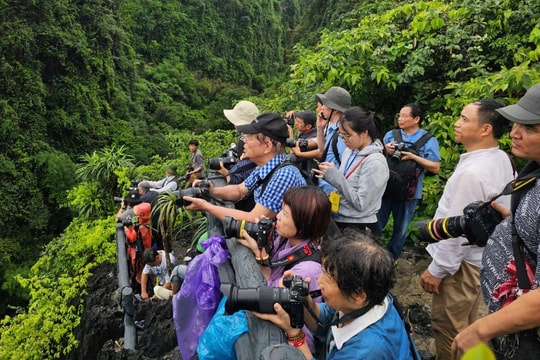 Hơn 100 nhiếp ảnh tham gia Photo tour “Mùa vàng Tam Cốc - Tràng An”