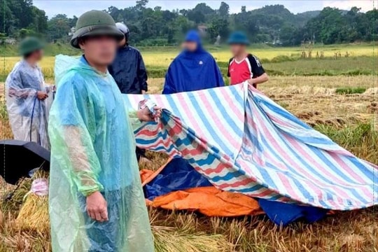 2 người dân bị sét đánh tử vong trên cánh đồng
