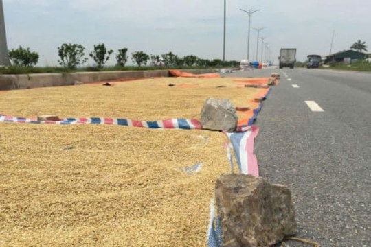 Phơi nông sản trên đường gây tai nạn bị xử lý thế nào?