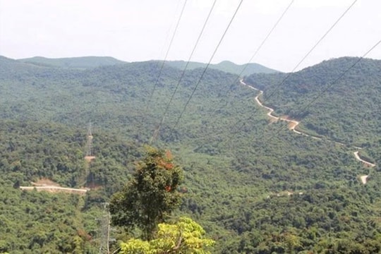 Phát hiện và hỗ trợ kịp thời nữ sinh đi lạc trong rừng sâu