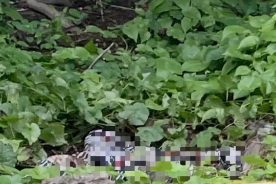 Phát hiện thi thể đã phân hủy ở nghĩa trang