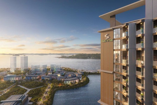 SkyM của BIM Land hấp dẫn nhà đầu tư nhờ tiềm năng tăng giá và hiệu suất cho thuê