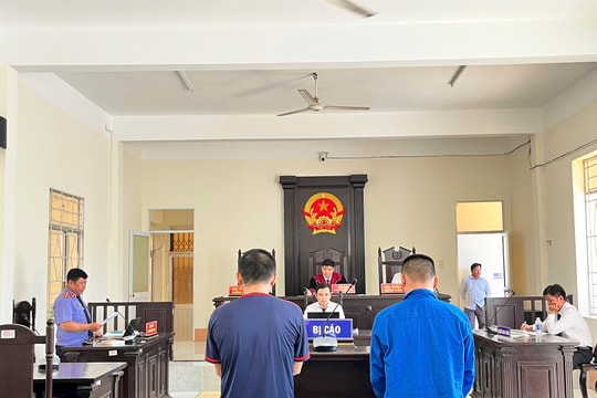 Hai đối tượng cắt trộm dây điện chiếu sáng công cộng