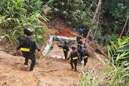 'Địa đạo vàng tặc' giữa rừng phòng hộ