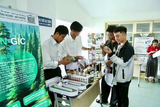 Khơi dòng trí tuệ trẻ trong hành trình chuyển đổi số