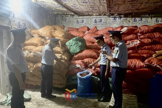 Phát hiện kho hàng chứa gần 8 tấn chân gà không rõ nguồn gốc