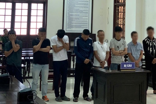 8 đối tượng đánh bạc và gá bạc lĩnh án