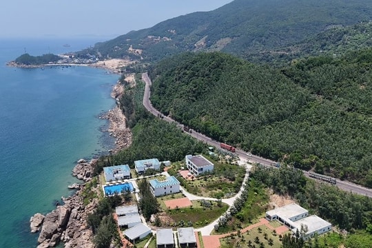 Tuyến đường ven biển Bình Định: Động lực mới cho phát triển kinh tế vùng duyên hải