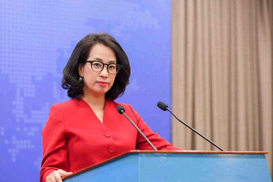 Việt Nam kiên quyết đấu tranh phòng, chống di cư trái phép