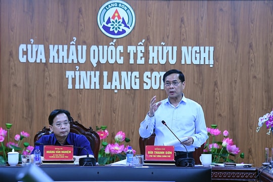 Bổ sung Thanh tra Chính phủ là thành viên Ban Chỉ đạo 389 Quốc gia