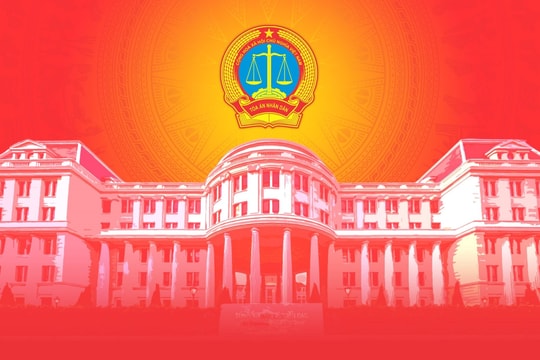 Tòa chuyên trách tại Tòa án nhân dân cấp tỉnh, khu vực được quy định ra sao?