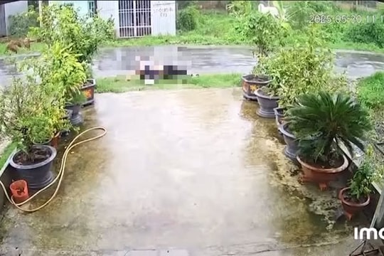 Trà Vinh: Đi xe máy vướng dây điện sau mưa lớn, 2 thanh niên tử vong