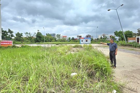 Hải Phòng: Dự án Anh Dũng IV chậm gần 20 năm, hàng trăm người dân có nguy cơ mất trắng tài sản