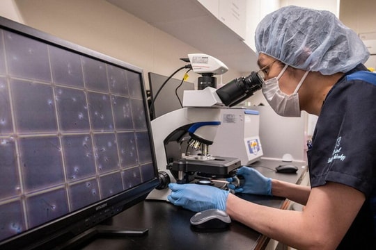 Bê bối người mang gen ung thư hiến tặng tinh trùng ở Bỉ