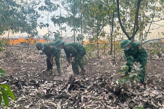 Kịp thời dập tắt vụ cháy rừng tại thị xã Phong Điền, TP Huế