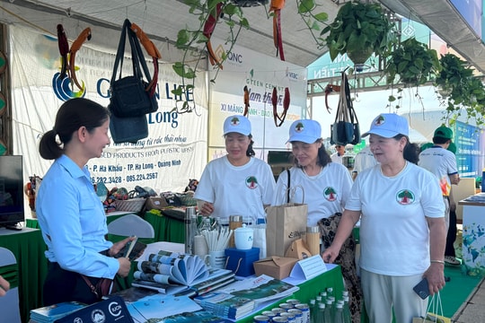 Ngày Môi trường Thế giới 2025: Lan tỏa những hành động xanh