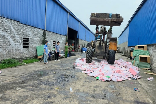 Xử phạt 45 triệu đồng đối tượng vận chuyển gần 2.000 con gấu bông không rõ nguồn gốc