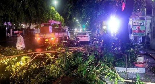 Bà Rịa - Vũng Tàu: Hàng loạt cây xanh gãy đổ sau dông lốc