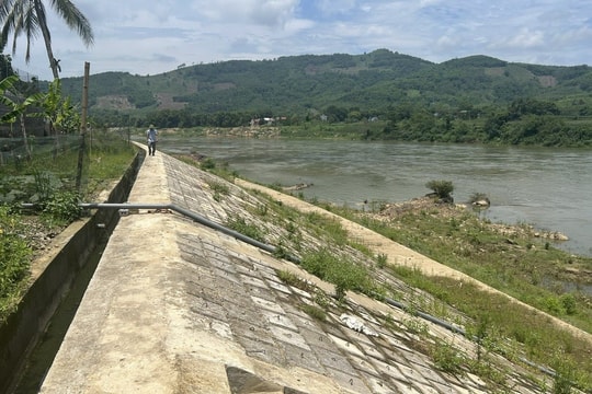 Bờ kè Phú Văn đê hữu sông Chu bị sạt nghiêm trọng