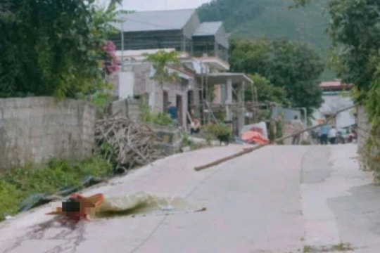 Chồng sát hại vợ rồi tự sát bằng súng tự chế trong đêm