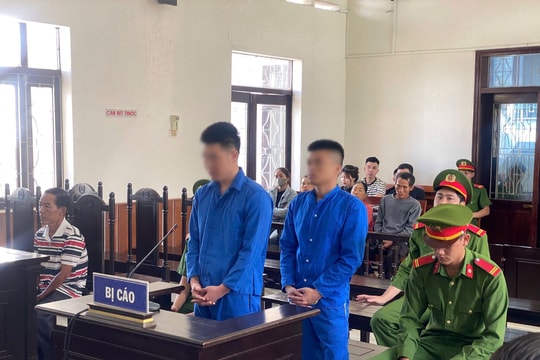 Tàng trữ trái phép chất ma túy, 2 thanh niên lĩnh án