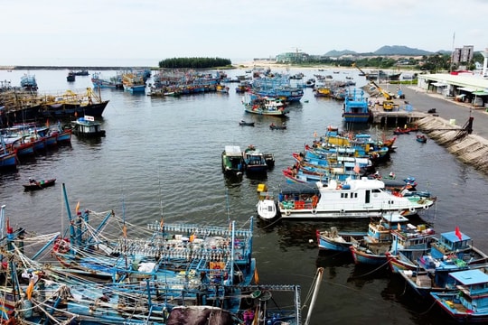 Bà Rịa - Vũng Tàu khuyến khích phát triển bền vững nghề cá