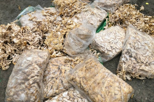 Bắt giữ hơn tấn chân gà, trứng gà non đông lạnh