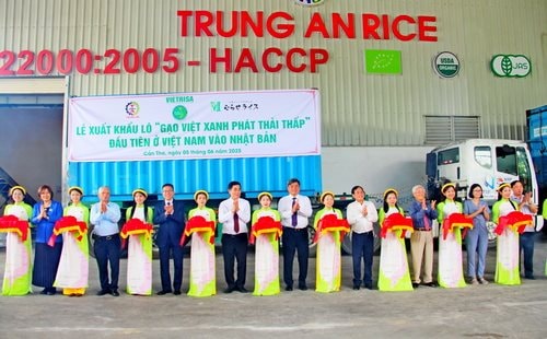 Xuất khẩu lô gạo Việt xanh, phát thải thấp đầu tiên sang Nhật Bản